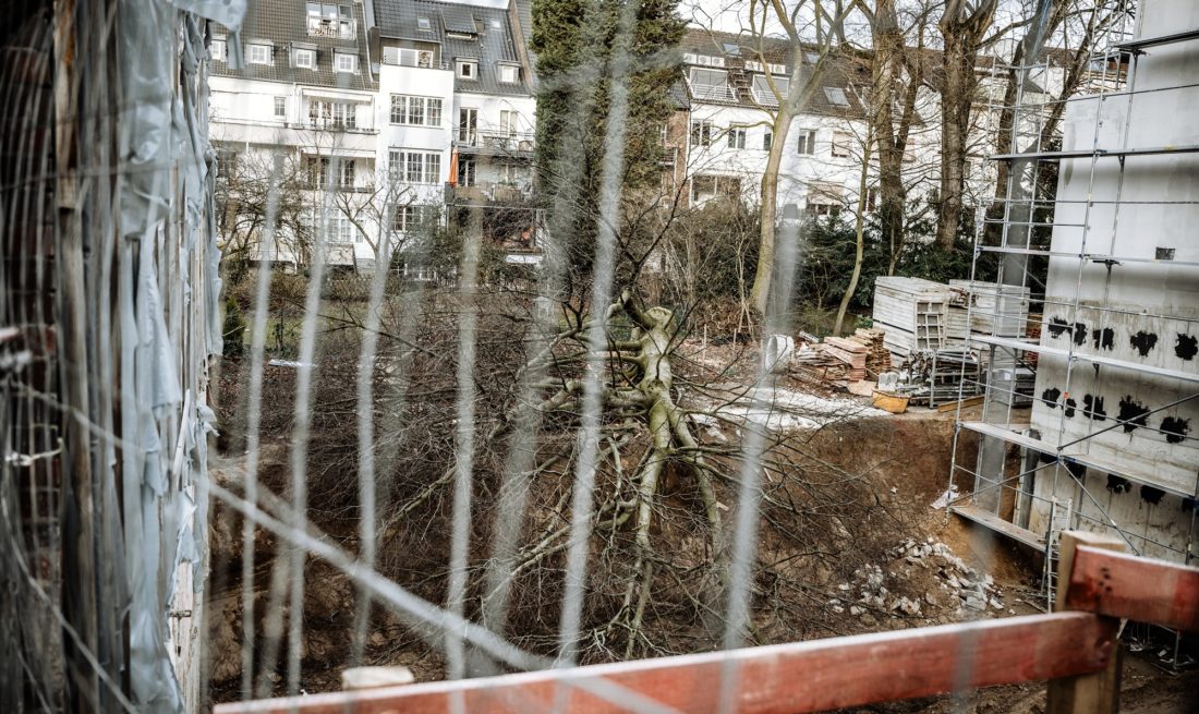 Baumfällung Leostraße
