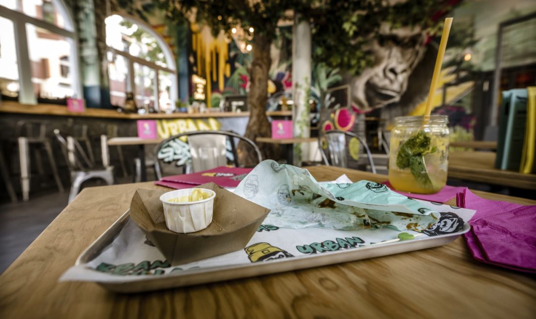 Urban Gorrilas in Düsseldorf