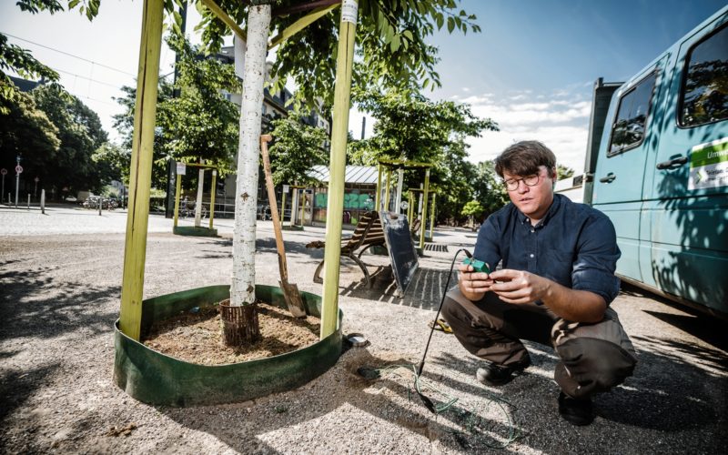 Sascha Ronsdorf-Beer vom Gartenamt sieht auf seinem Messgerät, wie feucht es an verschiedenen Stellen unter der Erde ist. Foto: Andreas Endermann