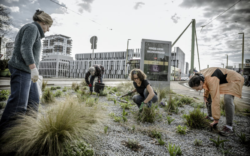 Initiative Platzgrün in Düsseldorf