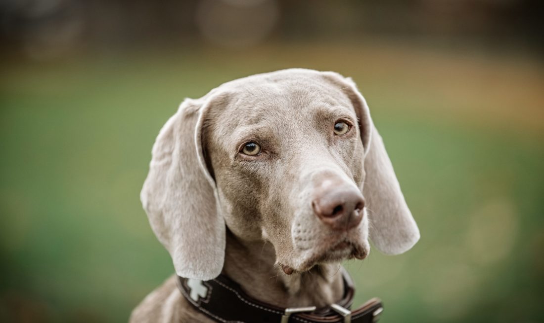 201027-lotte-andreas.endermann-001