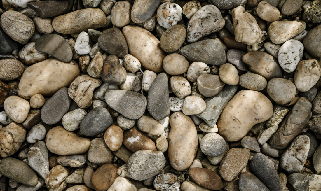 Die demokratische Kartoffel