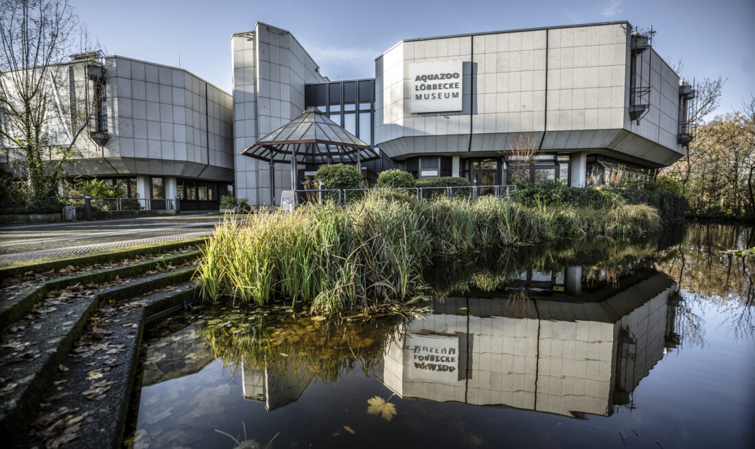 Aquazoo im Nordpark Düsseldorf
