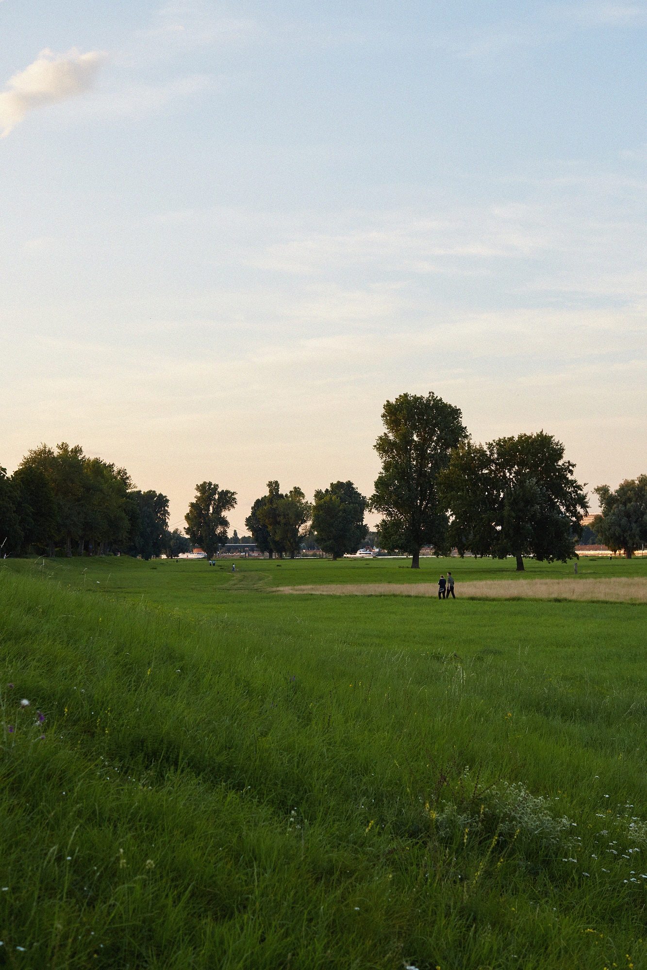 Paare, die noch keine sind, aber vielleicht gerne werden möchten, sieht man am Wochenende häufiger am Rhein. Foto: Sabrina Weniger