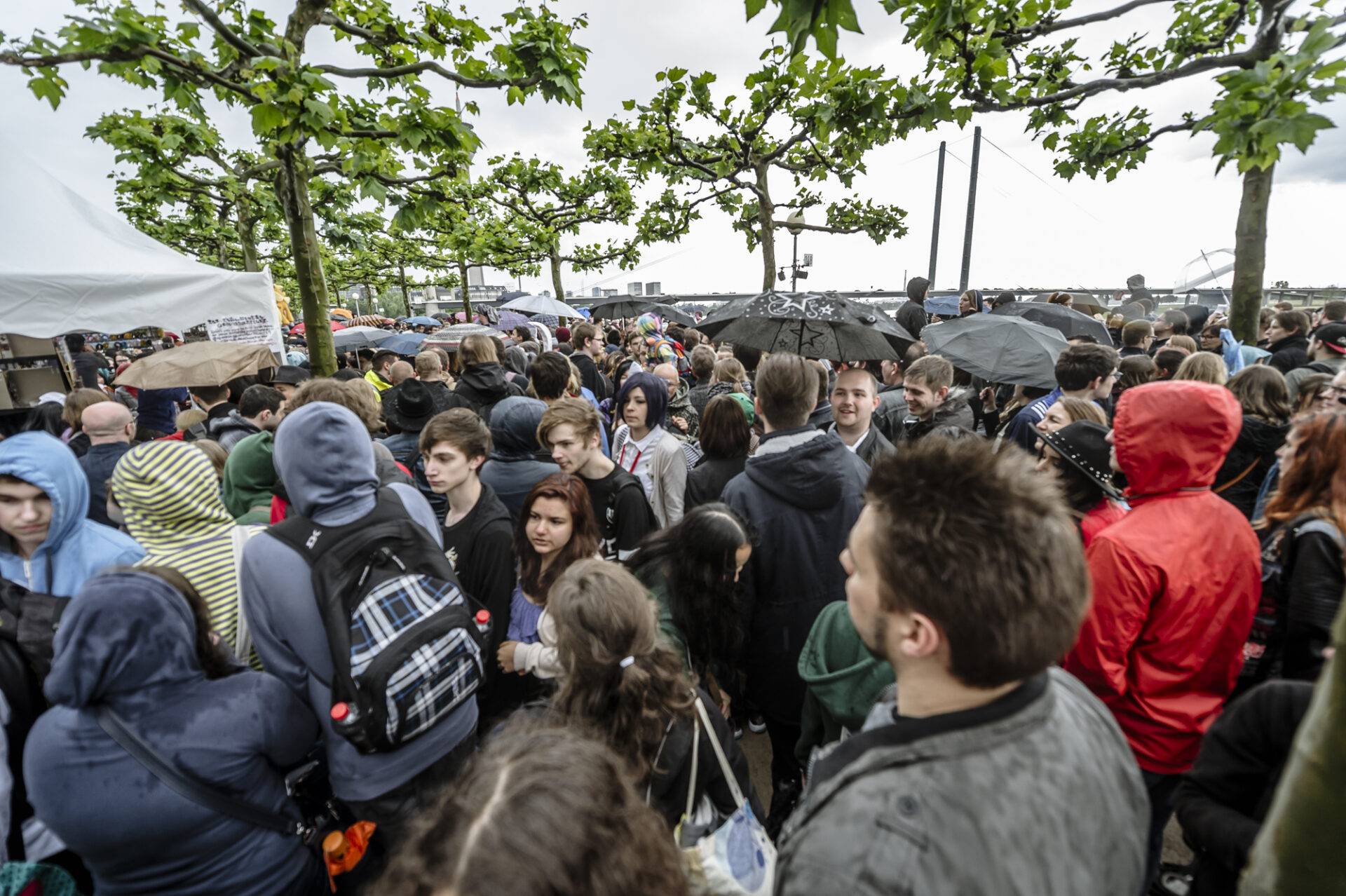 Japantag 2015, Rheinpromenade
Foto: Andreas Endermann