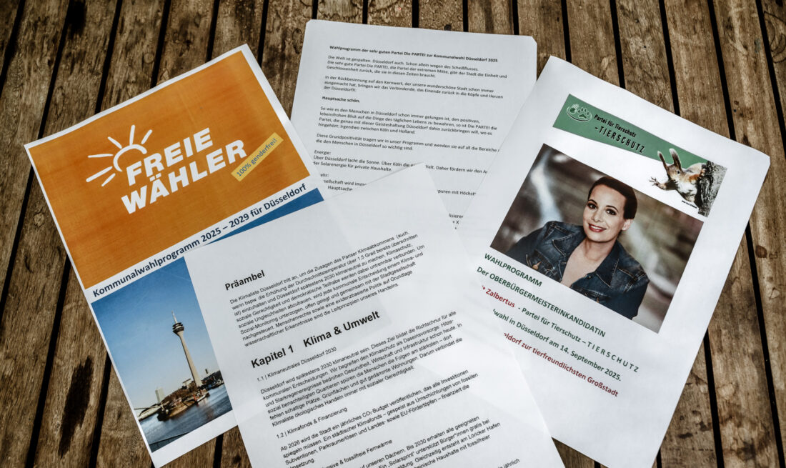 Wahlprogramme Kommunalwahl SonstigeFoto: Andreas Endermann