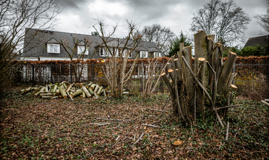 Baumfällungen im Nordpark