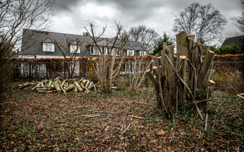 Baumfällungen im Nordpark