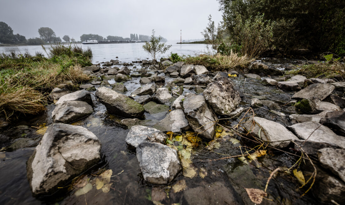 Kittelbach Mündung in den Rhein bei KaiserswerthFoto: Andreas Endermann