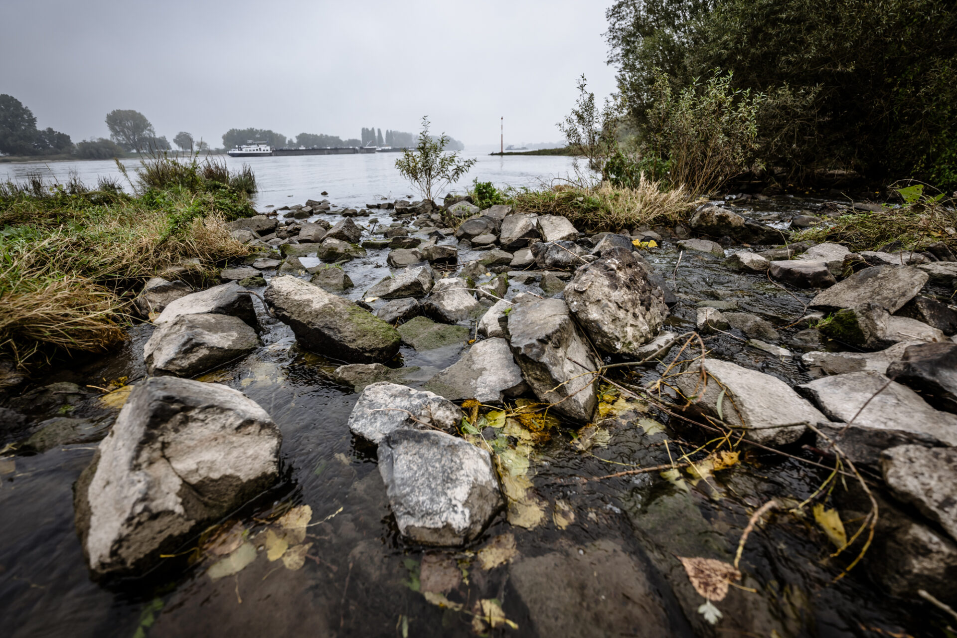 Kittelbach Mündung in den Rhein bei KaiserswerthFoto: Andreas Endermann