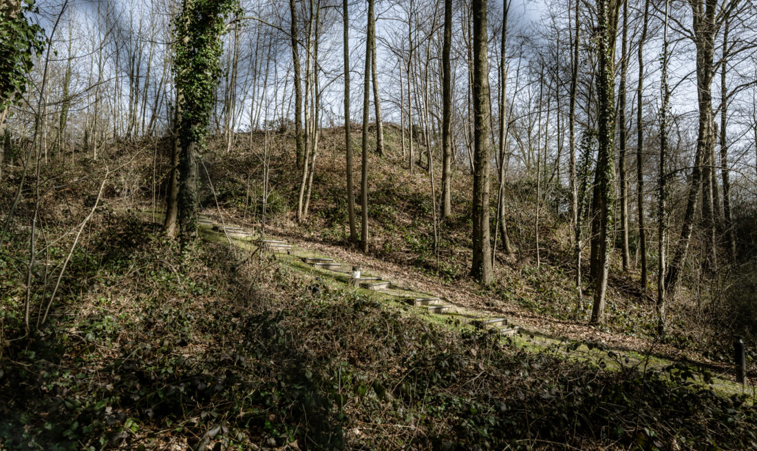 Sandberg Düsseldorf