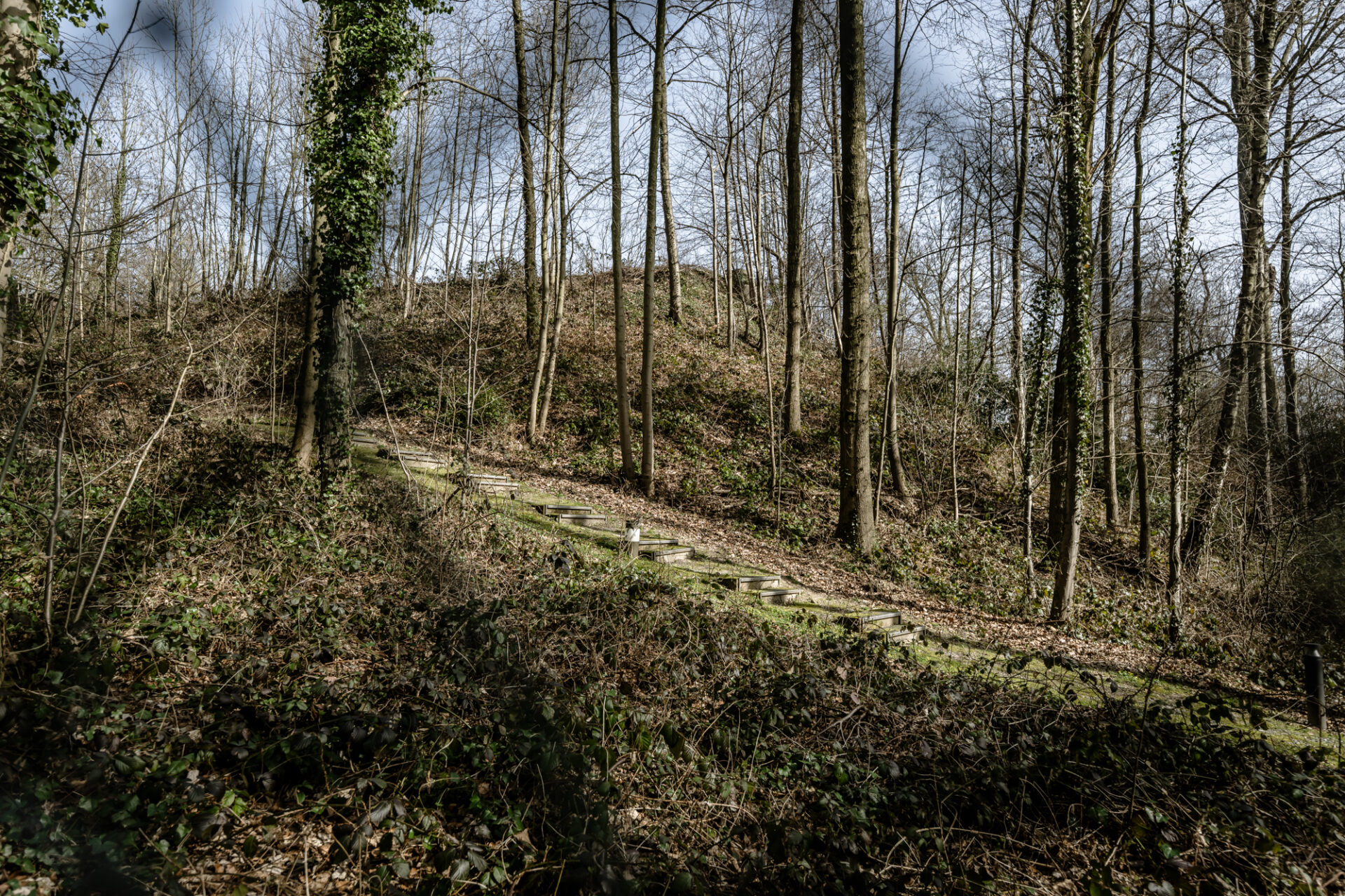 Sandberg Düsseldorf