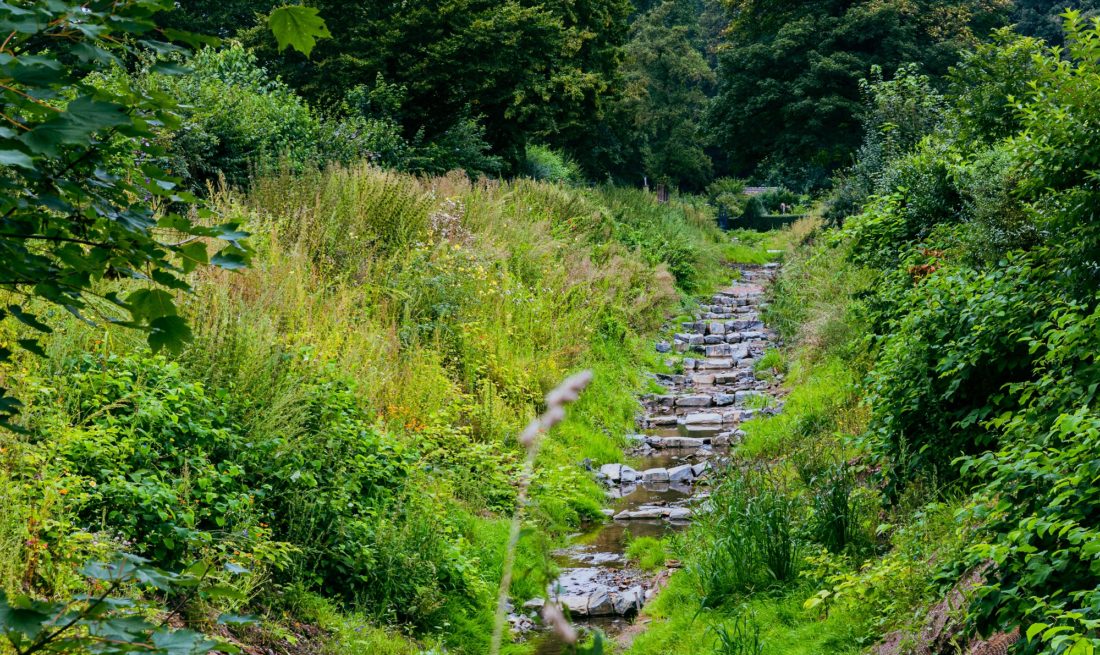 Naturnaher Ausbau heißt es, wenn Gewässer von Beton und Einengungen befreit und mit natürlichen Mitteln gestaltet werden, wie hier der Pillebach. Foto: Johannes Boventer
