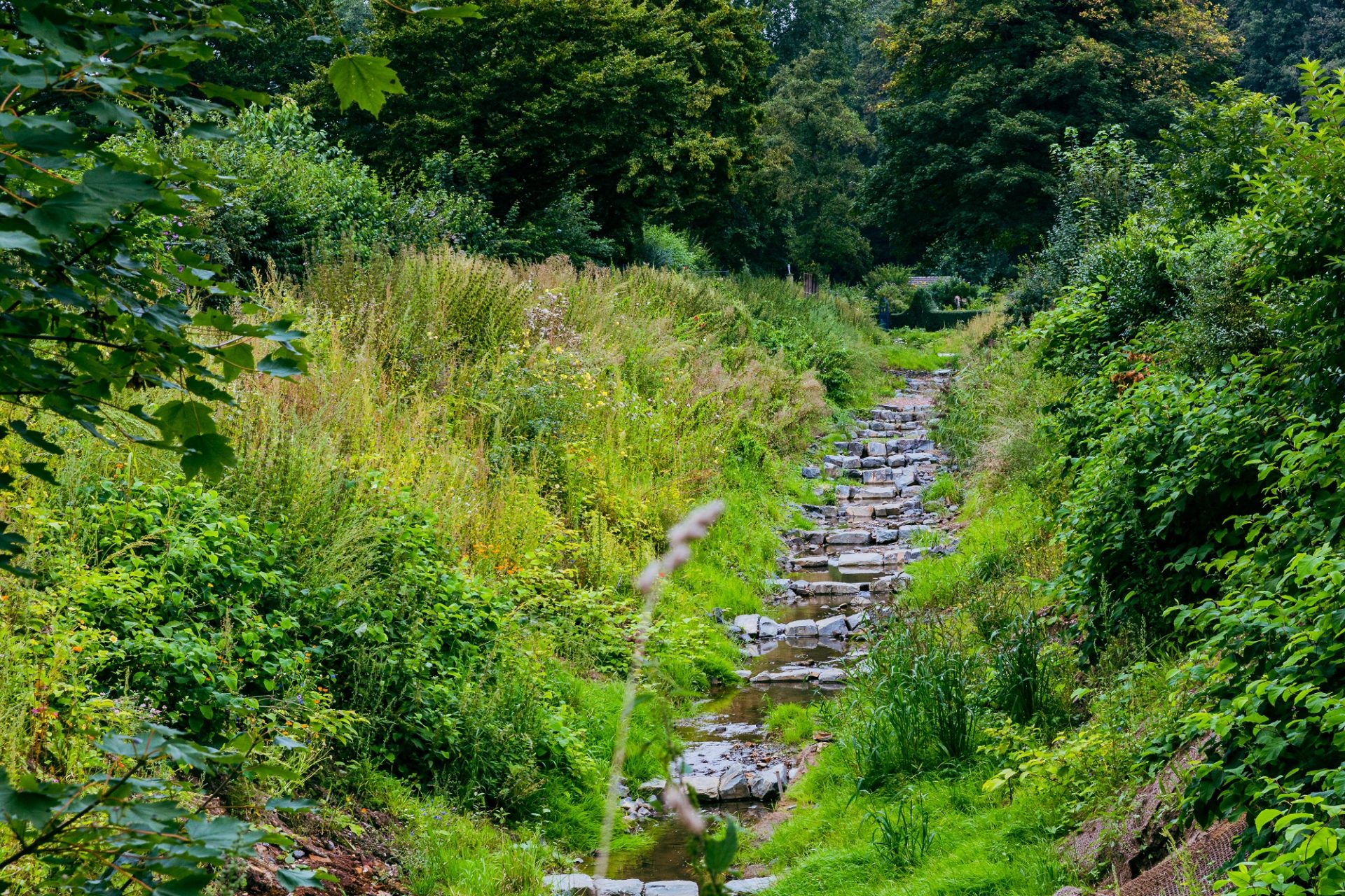 Naturnaher Ausbau heißt es, wenn Gewässer von Beton und Einengungen befreit und mit natürlichen Mitteln gestaltet werden, wie hier der Pillebach. Foto: Johannes Boventer