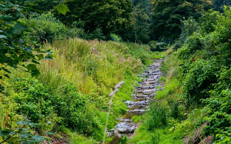 Naturnaher Ausbau heißt es, wenn Gewässer von Beton und Einengungen befreit und mit natürlichen Mitteln gestaltet werden, wie hier der Pillebach. Foto: Johannes Boventer