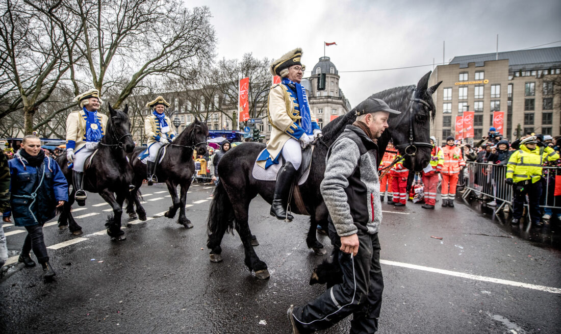 Pferd auf der Königsallee in Düsseldorf