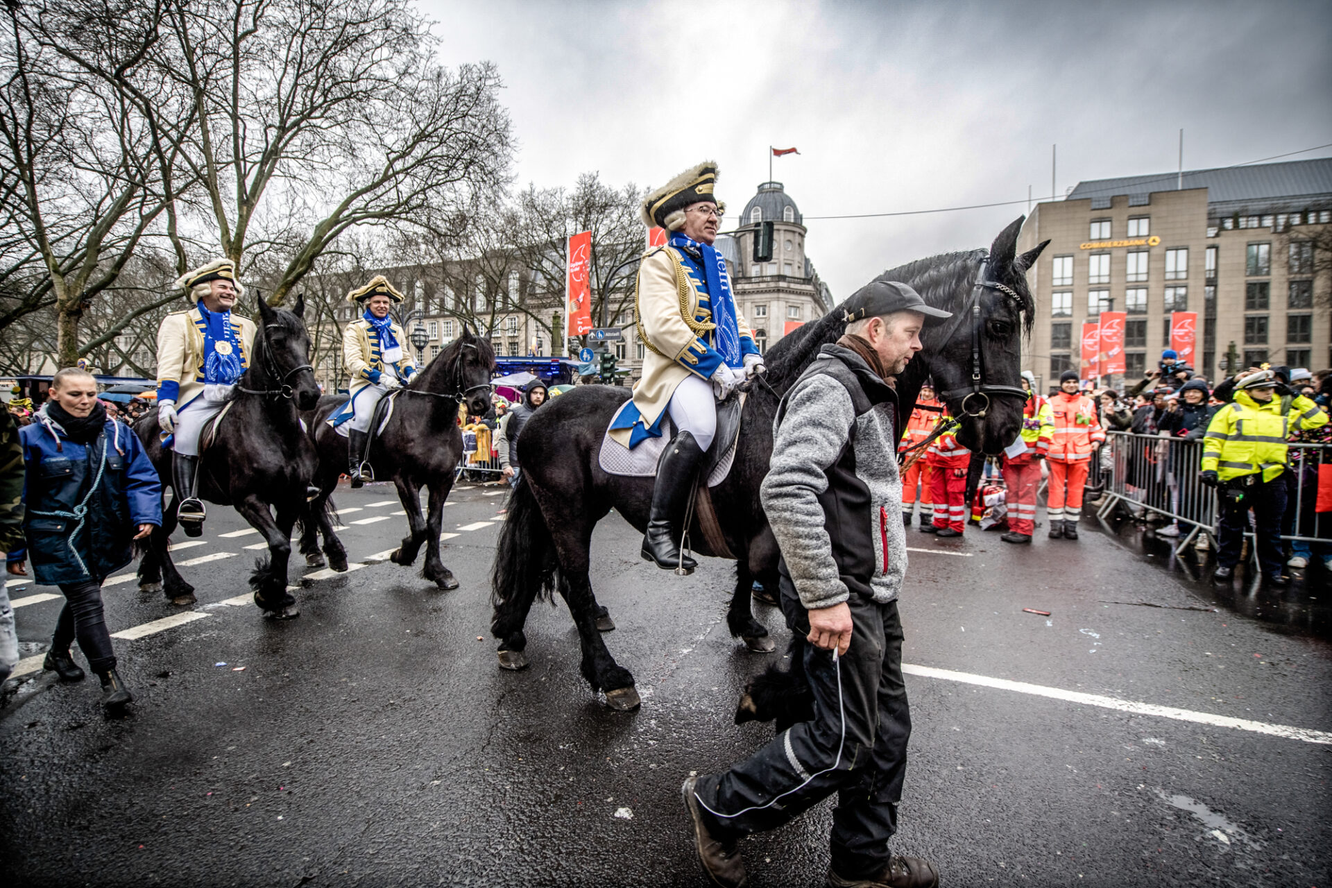 Pferd auf der Königsallee in Düsseldorf