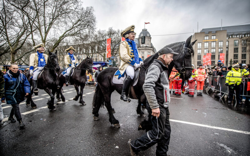 Pferd auf der Königsallee in Düsseldorf