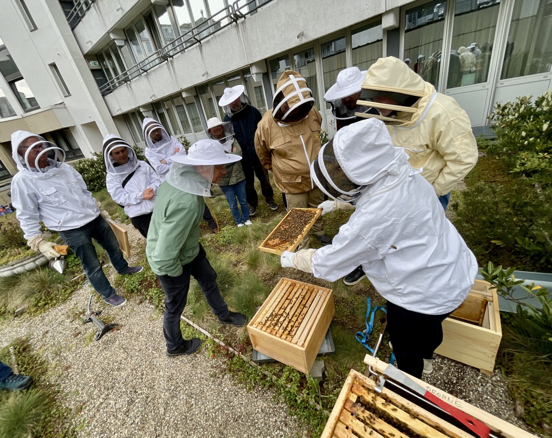 Bienenstöcke auf dem Dach des Leonardo Hotels, Düsseldorf