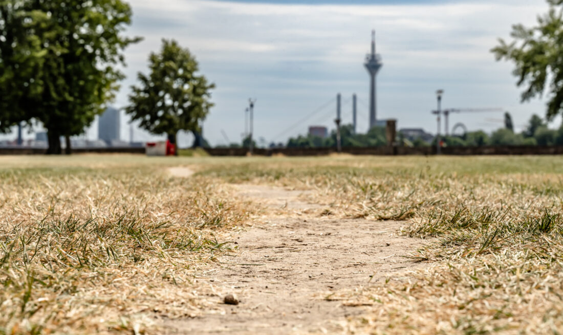 Drre Rheinwiesen DsseldorfFoto: Andreas Endermann