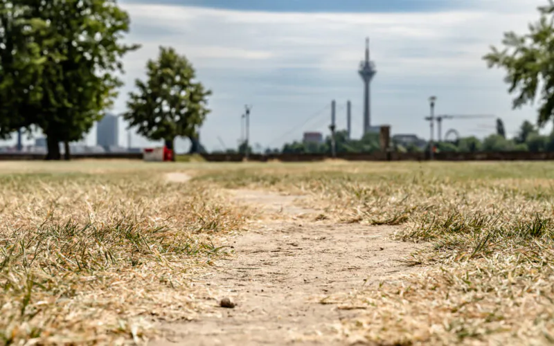 Drre Rheinwiesen DsseldorfFoto: Andreas Endermann