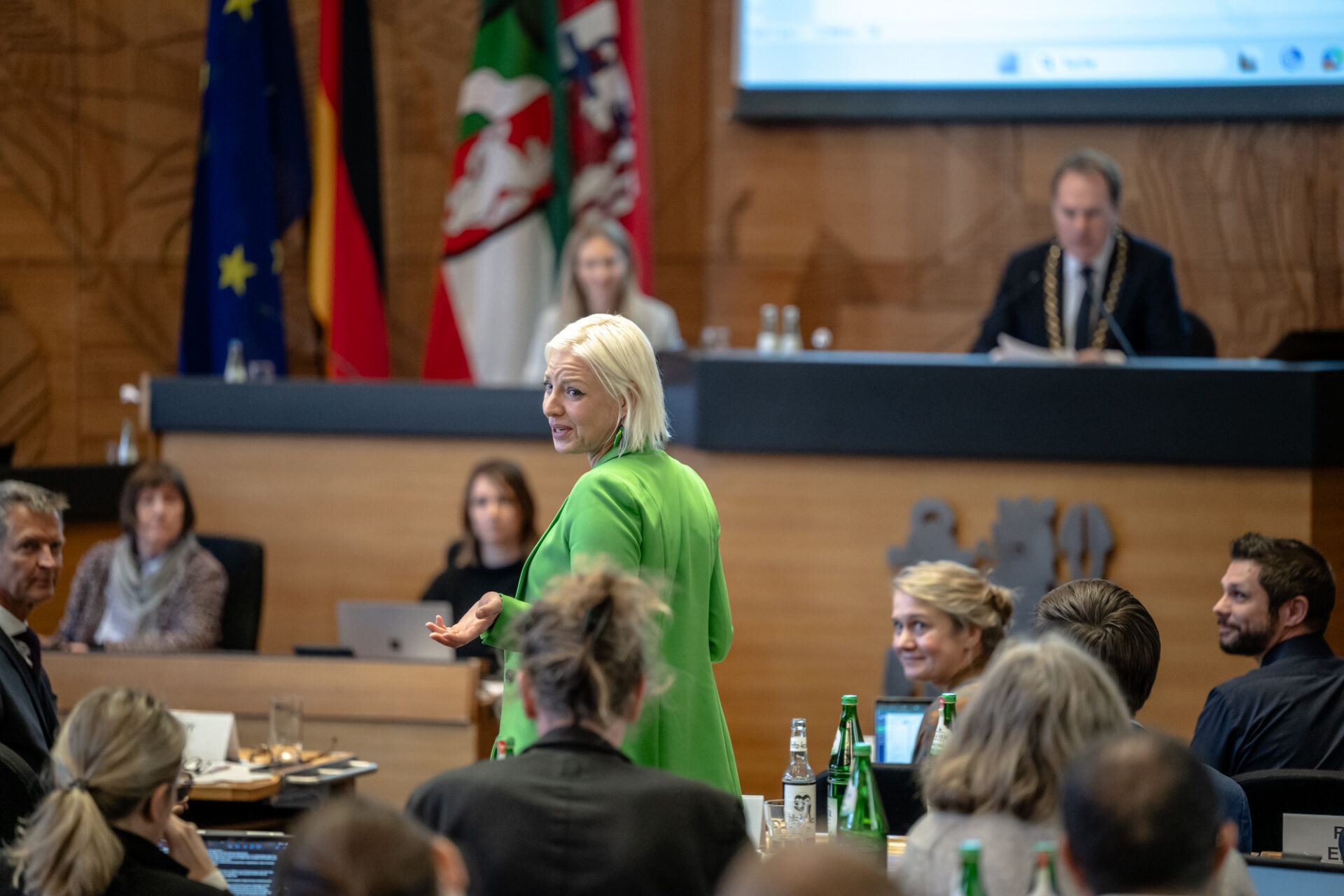 Grüne im Stadtrat Düsseldorf