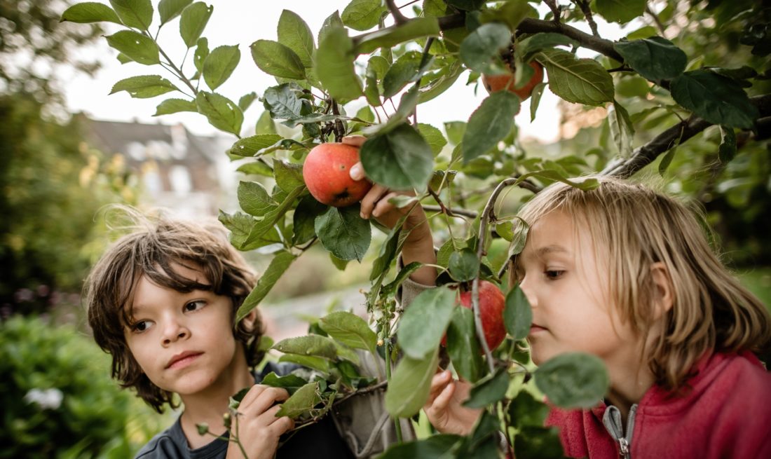 Wir sind alle Kinder von Mutter Erde. Was das für unser heutiges Leben bedeutet, erklärt unsere Kolumnistin in ihrem Artikel. Foto: Andreas Endermann