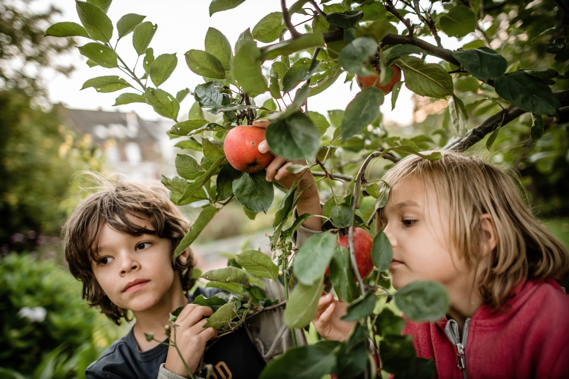 Wir sind alle Kinder von Mutter Erde. Was das für unser heutiges Leben bedeutet, erklärt unsere Kolumnistin in ihrem Artikel. Foto: Andreas Endermann