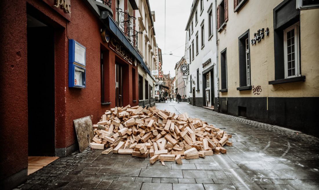 Holzscheite