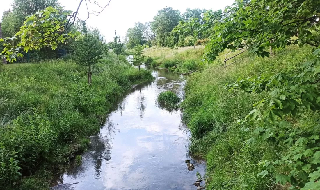 Die Düssel in Vennhausen