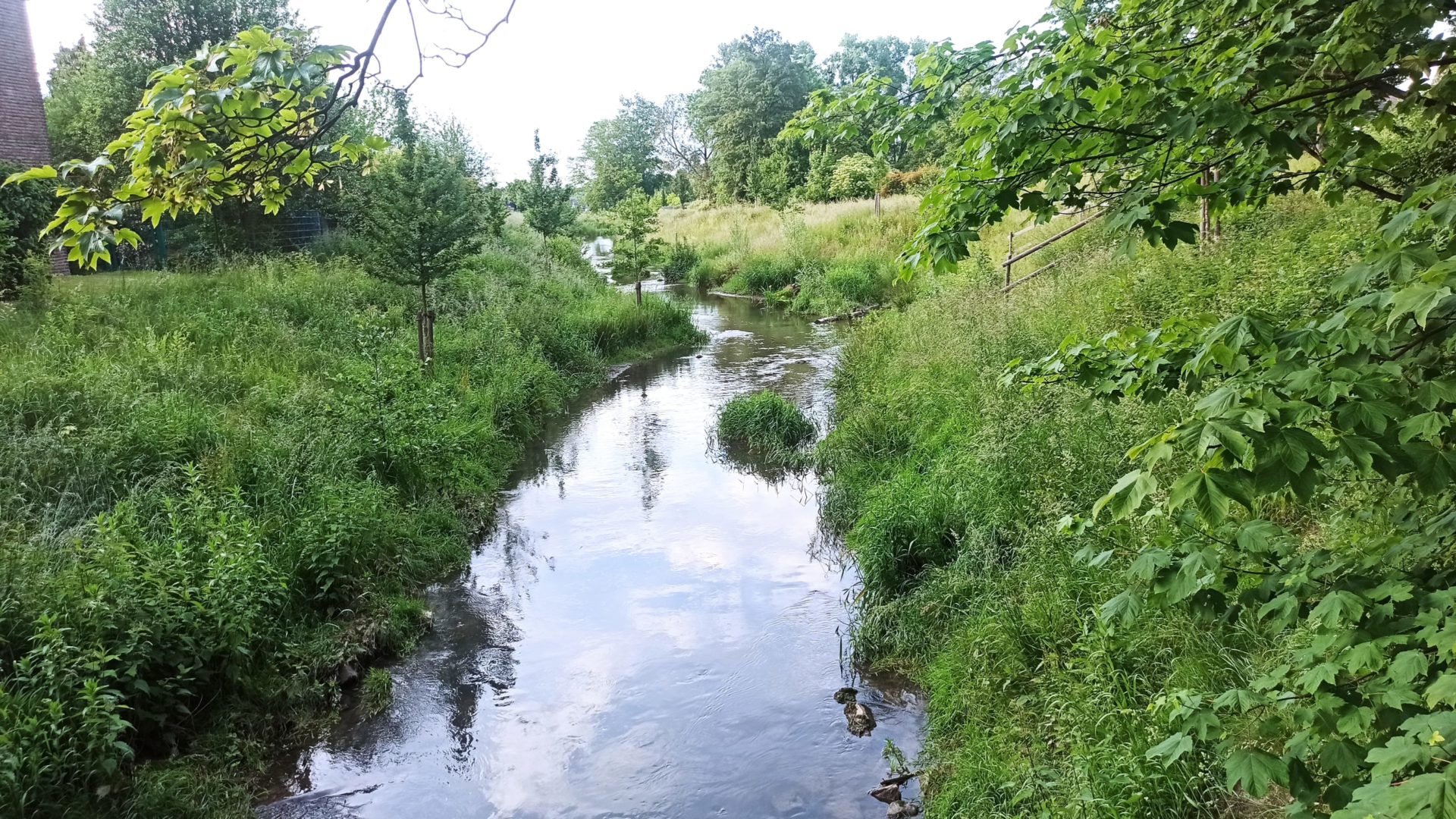 Die Düssel in Vennhausen