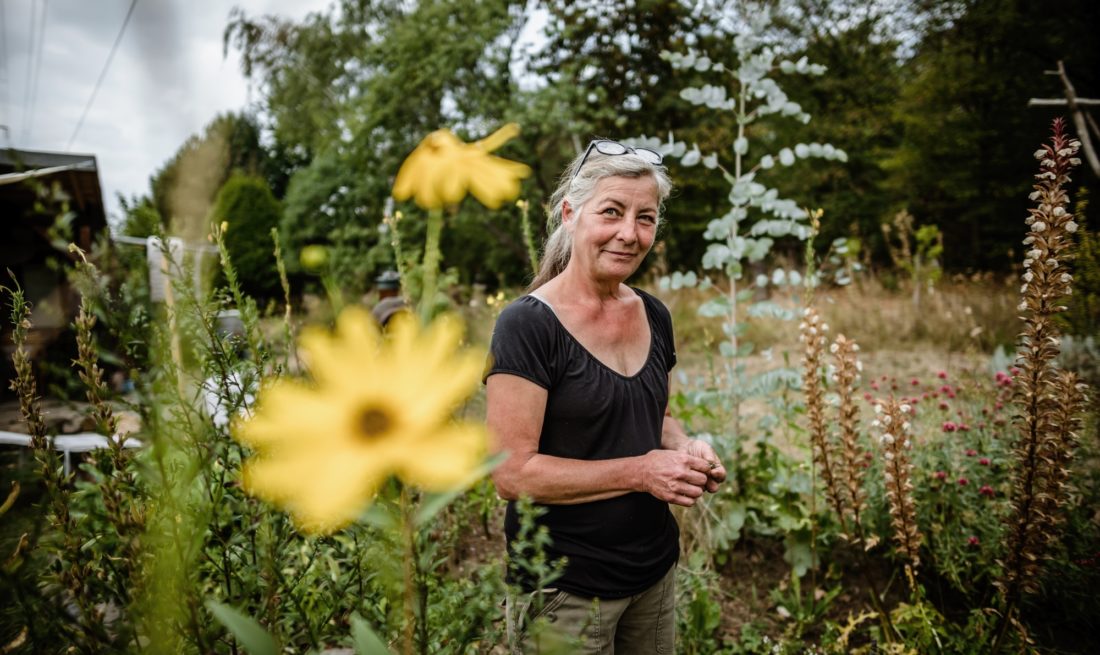 WildkräuterLAB Isolde Schubert