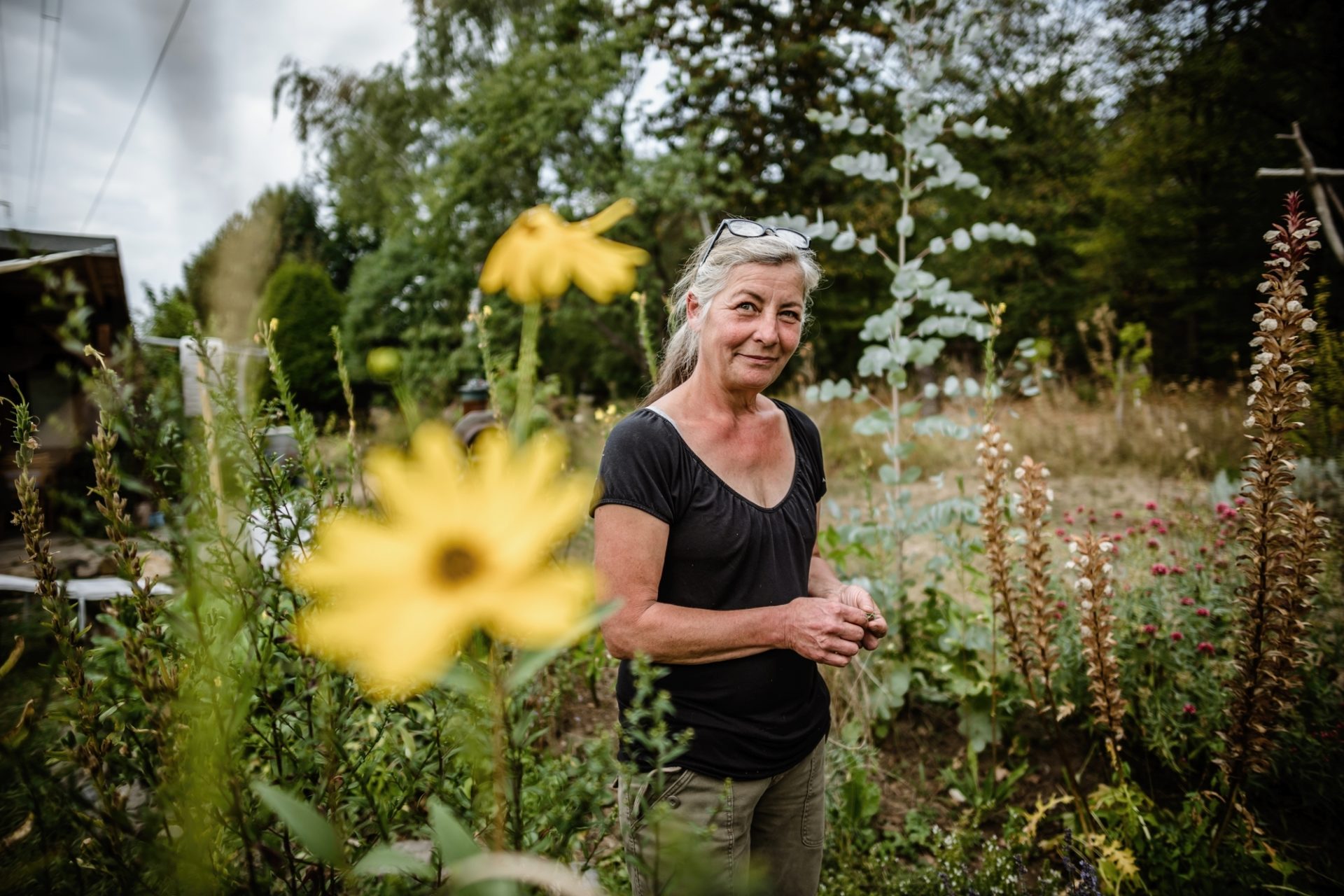 WildkräuterLAB Isolde Schubert