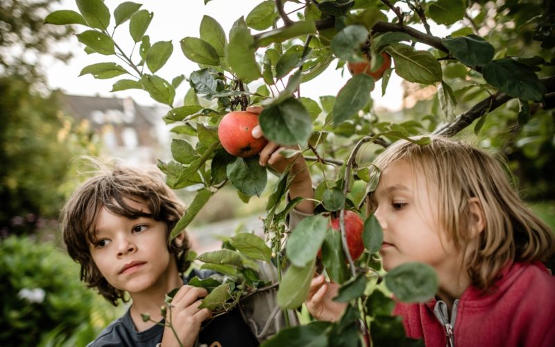 Wir sind alle Kinder von Mutter Erde. Was das für unser heutiges Leben bedeutet, erklärt unsere Kolumnistin in ihrem Artikel. Foto: Andreas Endermann