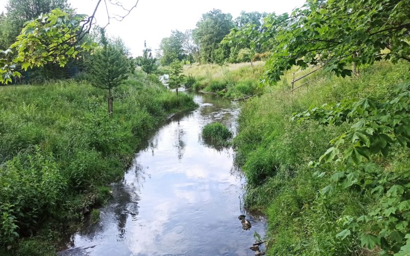 Die Düssel in Vennhausen