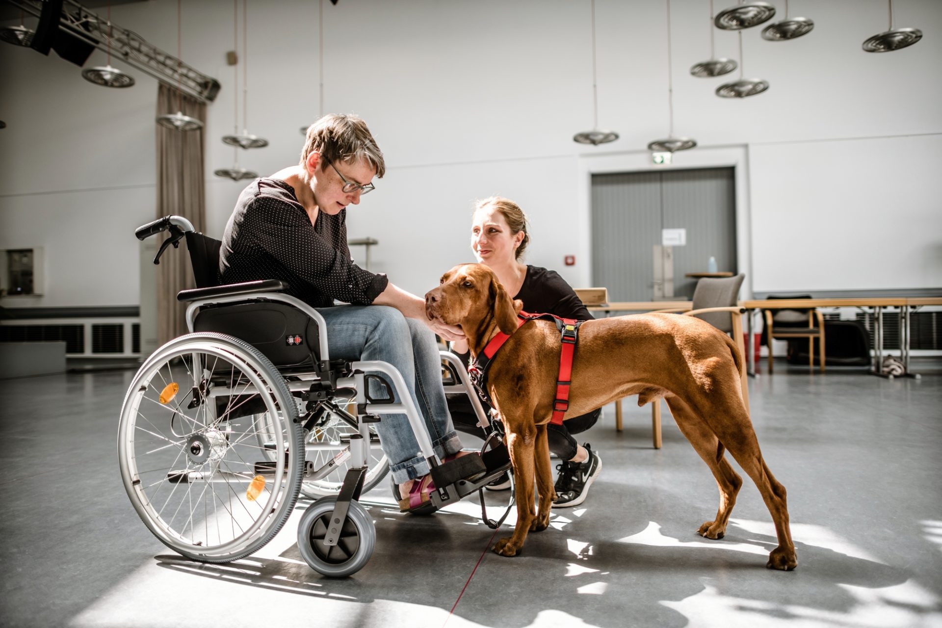 Hundebegleitdienst fr Demenzkranke
