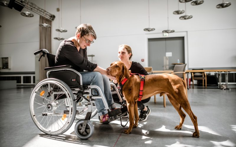 Hundebegleitdienst fr Demenzkranke